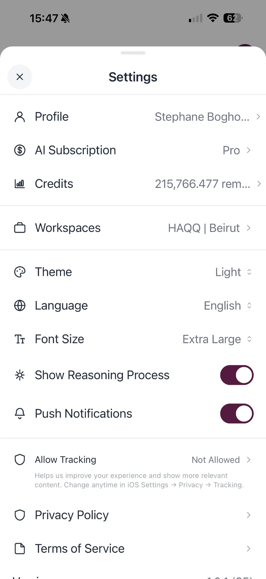 Settings with credits balance, language, theme and tracking control